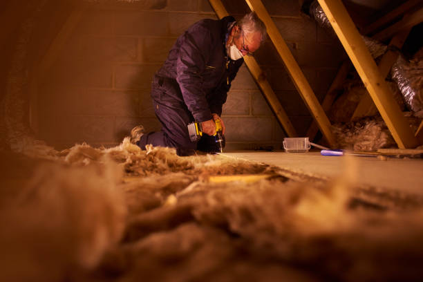 Best Attic Insulation Installation  in North Madison, OH